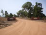 2010DSC04695